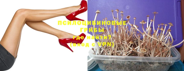 гашишное масло Дмитровск