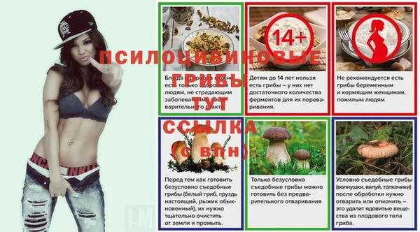 СК Дмитров