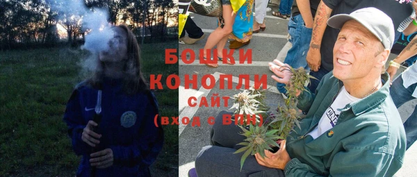 СК Дмитров
