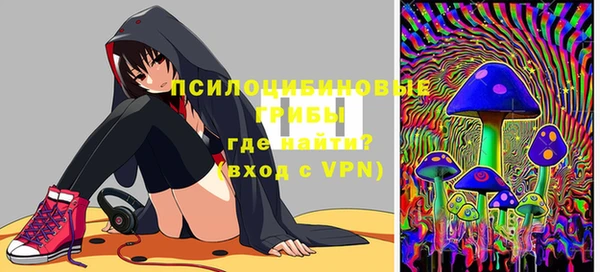 СК Дмитров