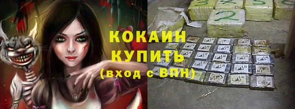 СК Дмитров