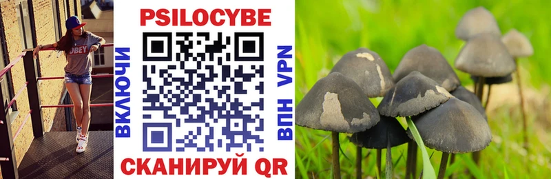 Псилоцибиновые грибы Magic Shrooms Купить где Котлас
